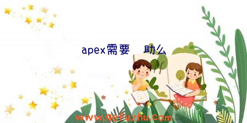 apex需要辅助么