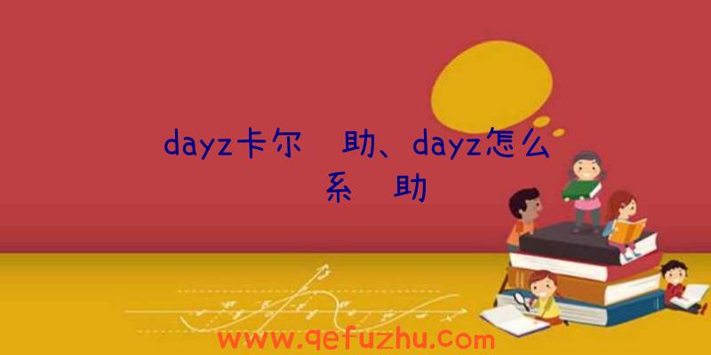 dayz卡尔辅助、dayz怎么联系辅助