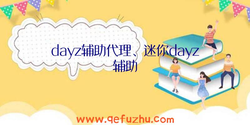 dayz辅助代理、迷你dayz辅助