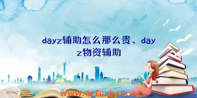 dayz辅助怎么那么贵、dayz物资辅助