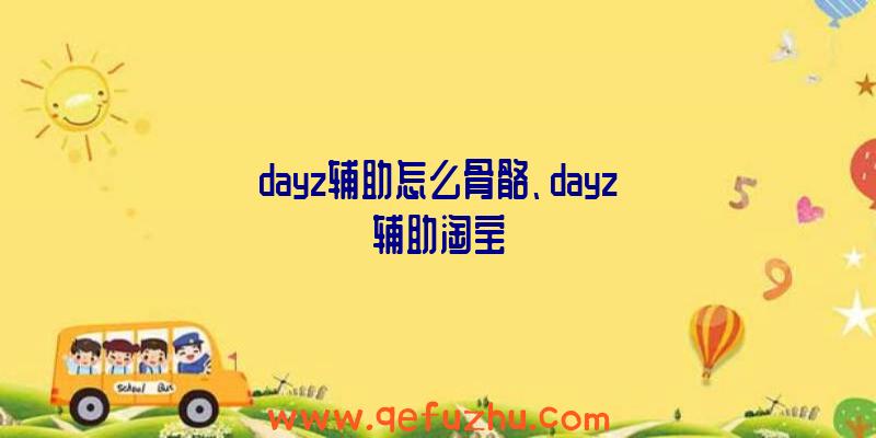 dayz辅助怎么骨骼、dayz辅助淘宝