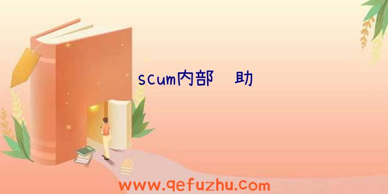 scum内部辅助