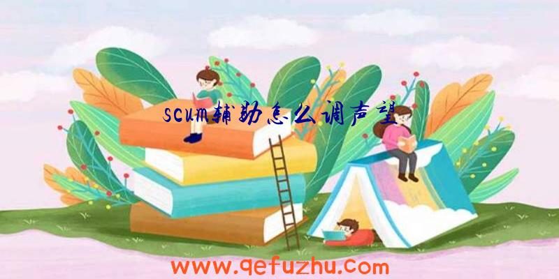 scum辅助怎么调声望