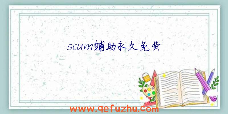 scum辅助永久免费