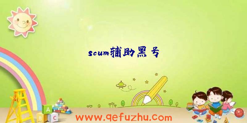 scum辅助黑号