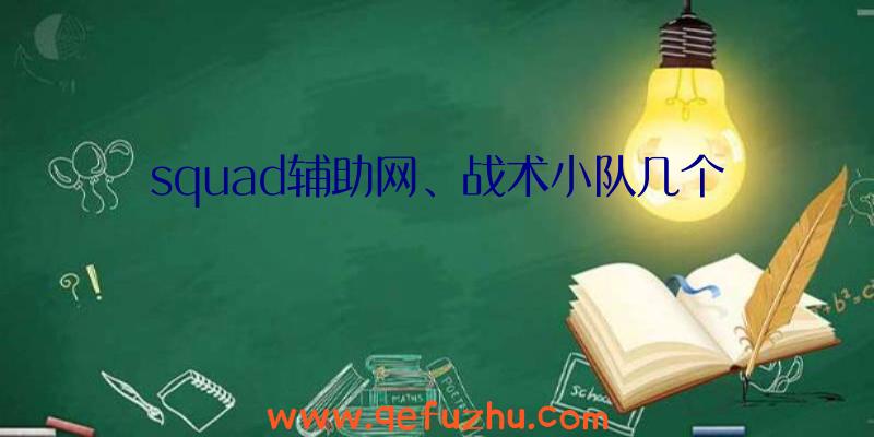 squad辅助网、战术小队几个