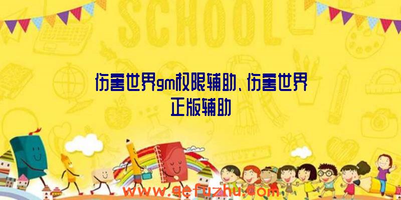 伤害世界gm权限辅助、伤害世界正版辅助