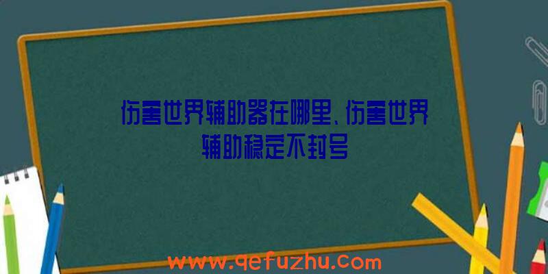 伤害世界辅助器在哪里、伤害世界辅助稳定不封号