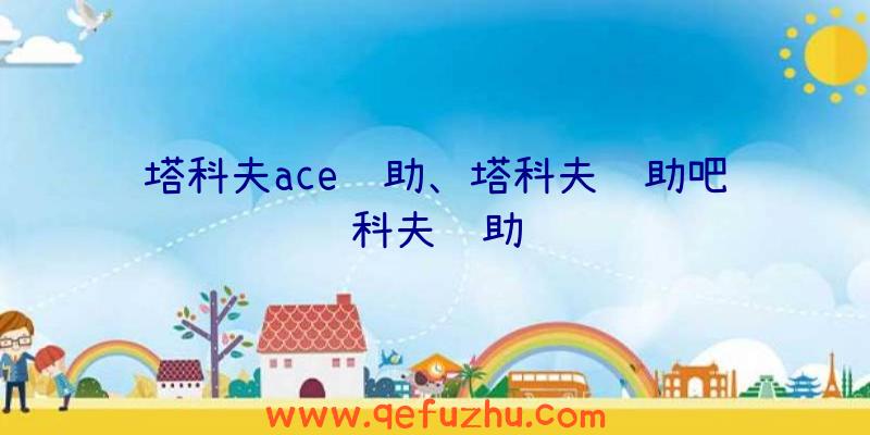 塔科夫ace辅助、塔科夫辅助吧科夫辅助