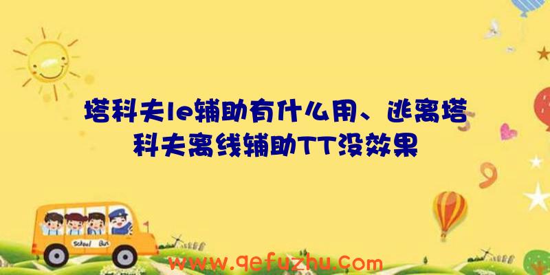 塔科夫le辅助有什么用、逃离塔科夫离线辅助TT没效果