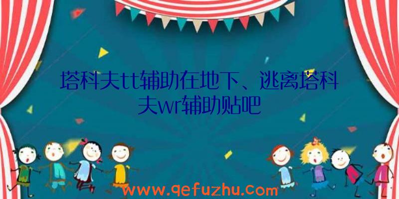 塔科夫tt辅助在地下、逃离塔科夫wr辅助贴吧