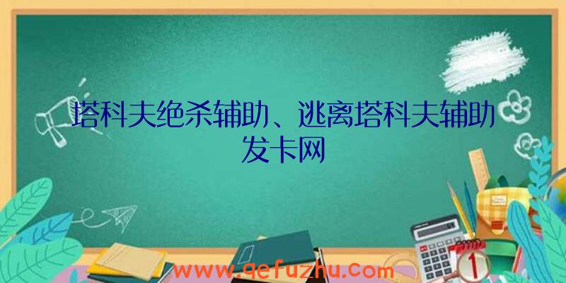 塔科夫绝杀辅助、逃离塔科夫辅助发卡网