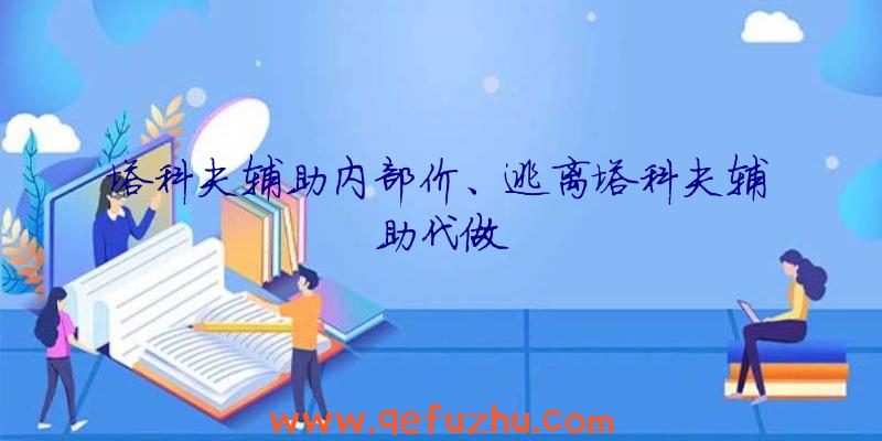 塔科夫辅助内部价、逃离塔科夫辅助代做