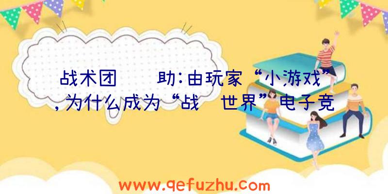 战术团队辅助:由玩家“小游戏”,为什么成为“战舰世界”电子竞