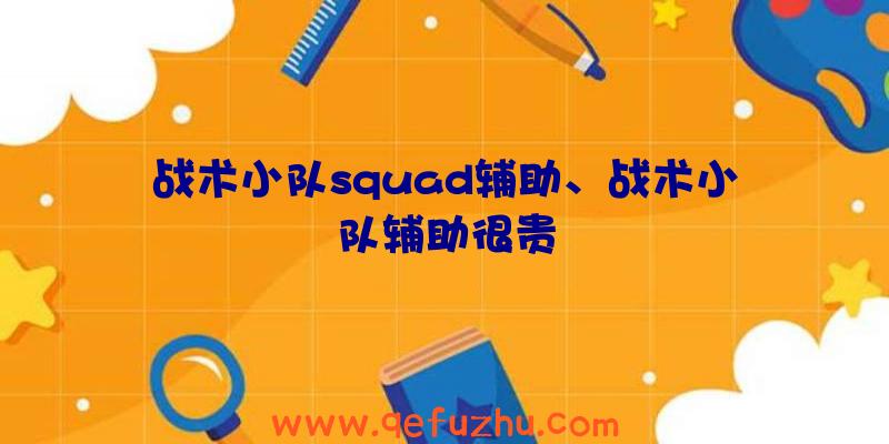 战术小队squad辅助、战术小队辅助很贵