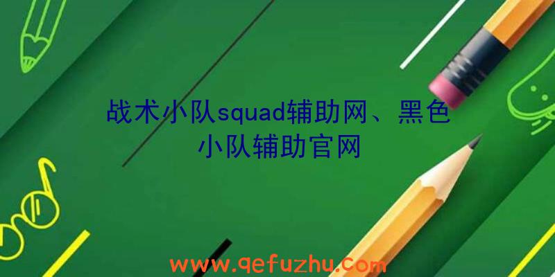 战术小队squad辅助网、黑色小队辅助官网