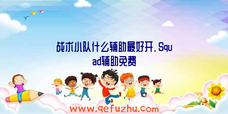 战术小队什么辅助最好开、Squad辅助免费