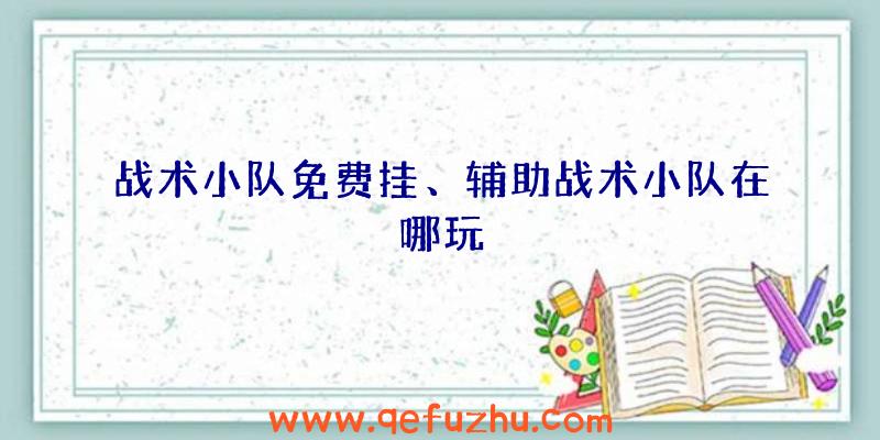 战术小队免费挂、辅助战术小队在哪玩