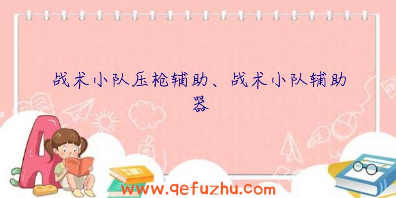 战术小队压枪辅助、战术小队辅助器