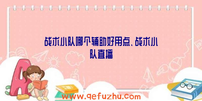 战术小队哪个辅助好用点、战术小队直播