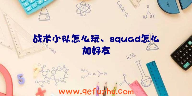 战术小队怎么玩、squad怎么加好友