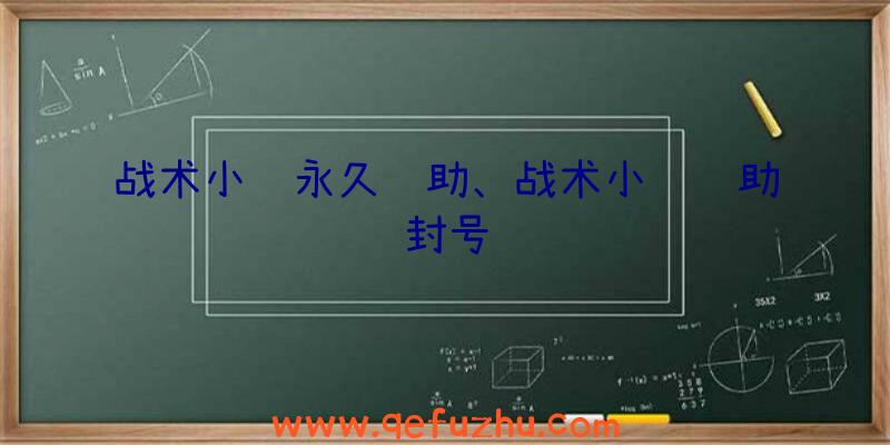 战术小队永久辅助、战术小队辅助封号