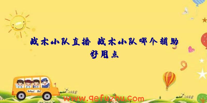 战术小队直播、战术小队哪个辅助好用点