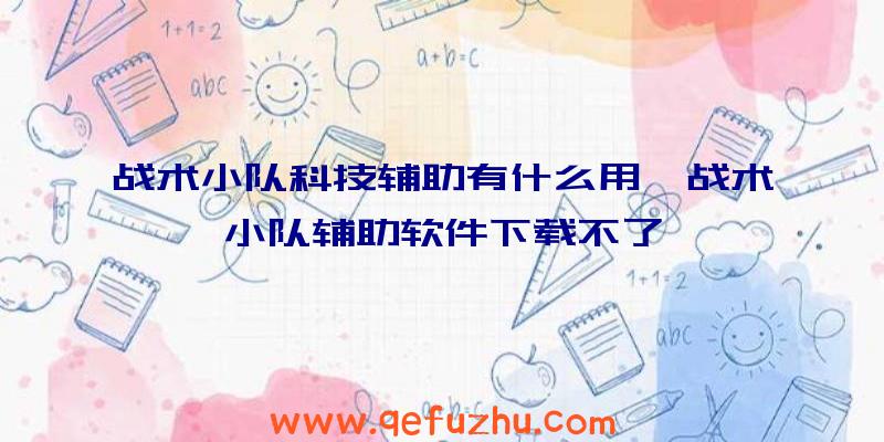 战术小队科技辅助有什么用、战术小队辅助软件下载不了