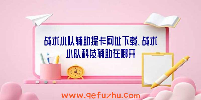 战术小队辅助提卡网址下载、战术小队科技辅助在哪开