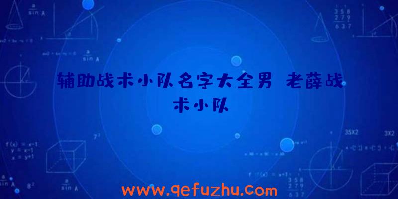 辅助战术小队名字大全男、老薛战术小队