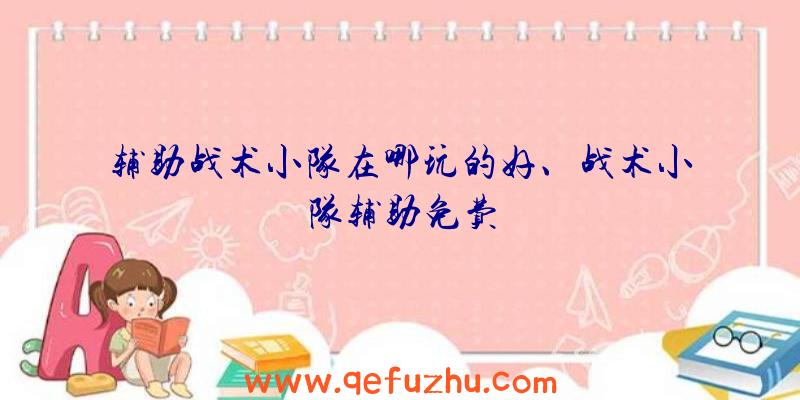 辅助战术小队在哪玩的好、战术小队辅助免费