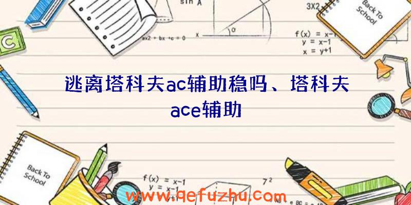 逃离塔科夫ac辅助稳吗、塔科夫ace辅助