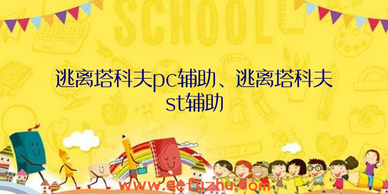 逃离塔科夫pc辅助、逃离塔科夫st辅助