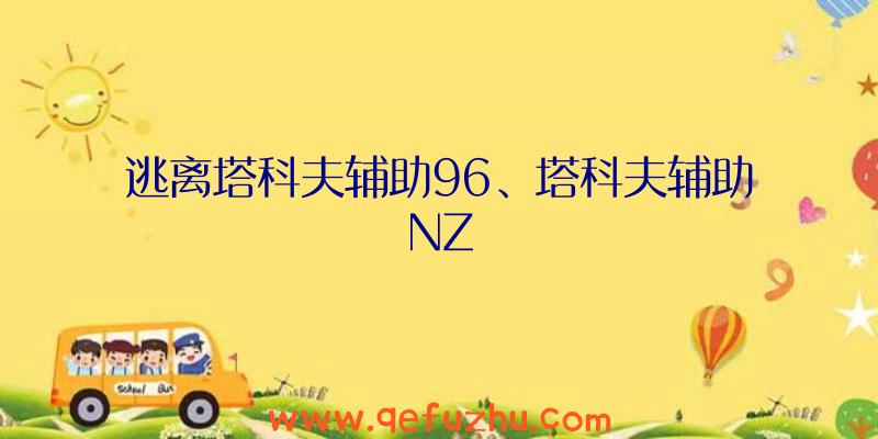 逃离塔科夫辅助96、塔科夫辅助NZ