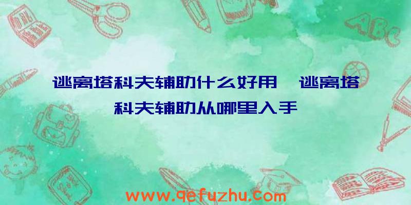 逃离塔科夫辅助什么好用、逃离塔科夫辅助从哪里入手