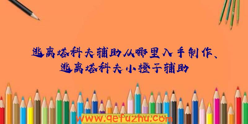 逃离塔科夫辅助从哪里入手制作、逃离塔科夫小橙子辅助