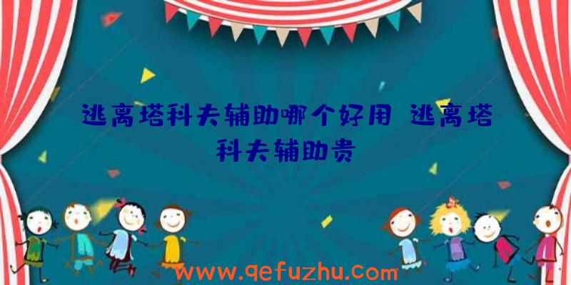 逃离塔科夫辅助哪个好用、逃离塔科夫辅助贵