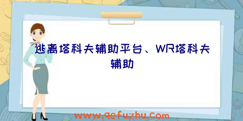 逃离塔科夫辅助平台、WR塔科夫辅助