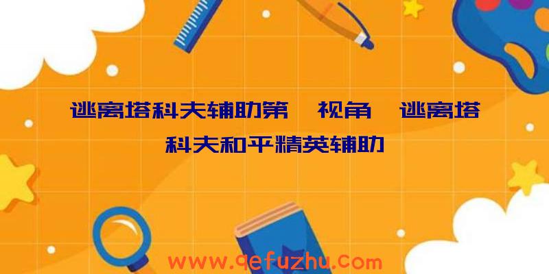 逃离塔科夫辅助第一视角、逃离塔科夫和平精英辅助