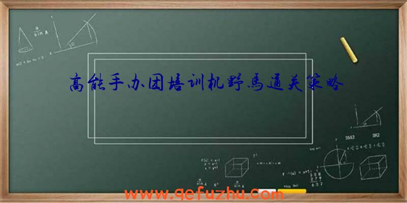 高能手办团培训机野马通关策略