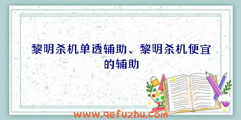 黎明杀机单透辅助、黎明杀机便宜的辅助